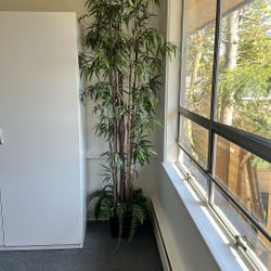 Faux Bamboo Indoor Tree (2 Available)