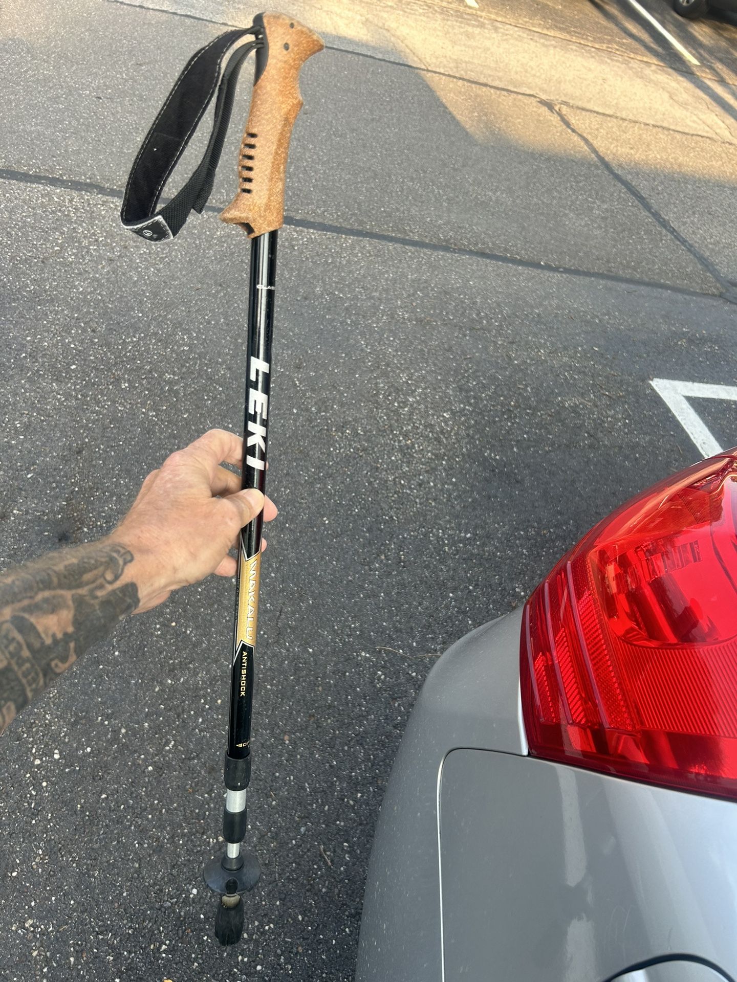 Leki Summit Walking Stick