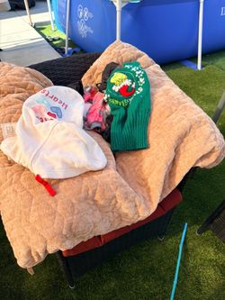 Clothes and bed for dogs