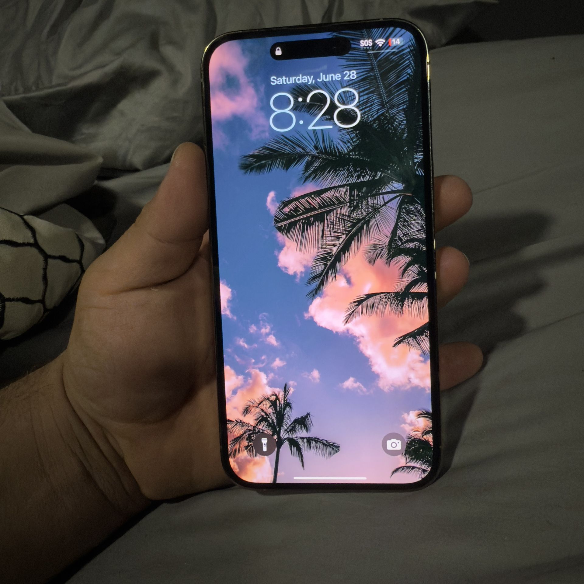 iPhone Pro Max 14 Gold