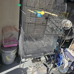 Bird Cage