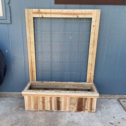 Cedar Wood Plant Pots ( Base De Cedro Para Plantas ) 