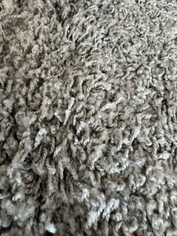 Area Rug (8x10)
