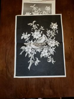 Tri chem paint by number cardinal black felt