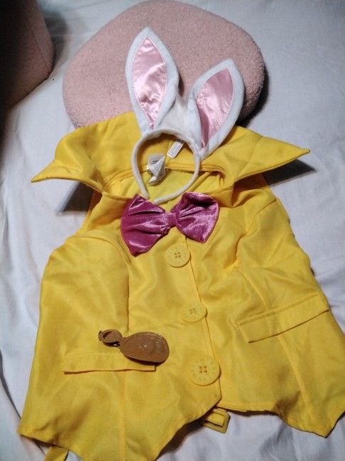 Alice In Wonderland Rabbit Coatume