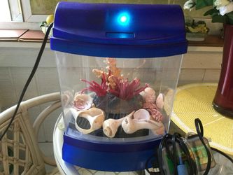 Aquarium with motor and decorations 25$