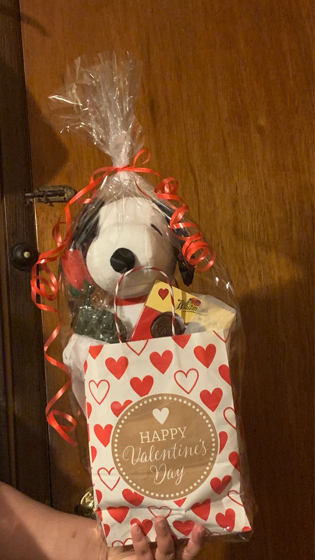 Valentine’s Day Bags and Baskets