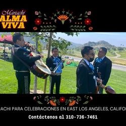 Mariachi Guitarras 