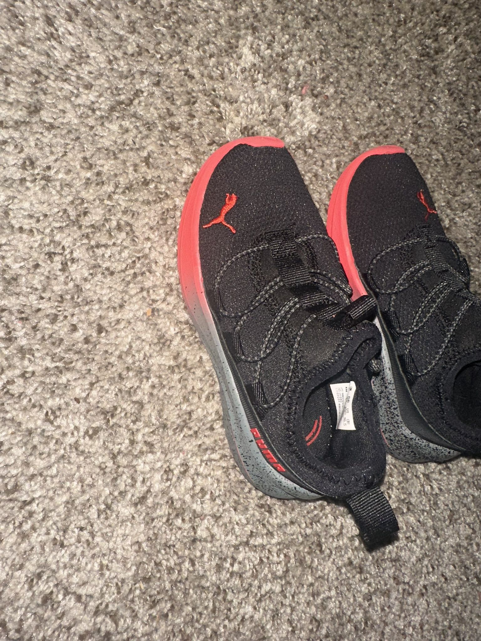 Red And Black Puma