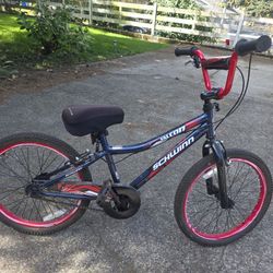 Schwinn Falcon Kids Bike