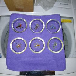Hand Painted Bird Glass Coasters 