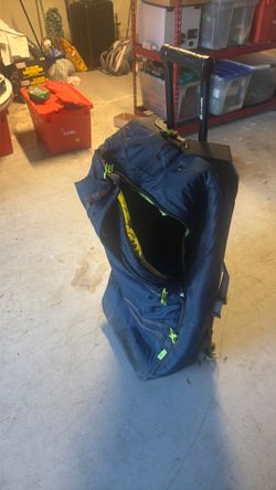 Packsafe luggage