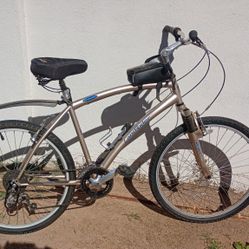 Large Tall Bike