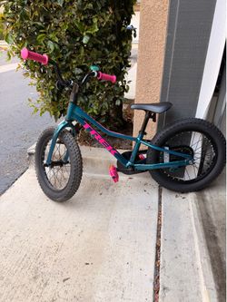 Trek 16” kid’s bicycle