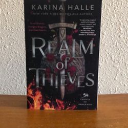 Realm Of Thieves Book