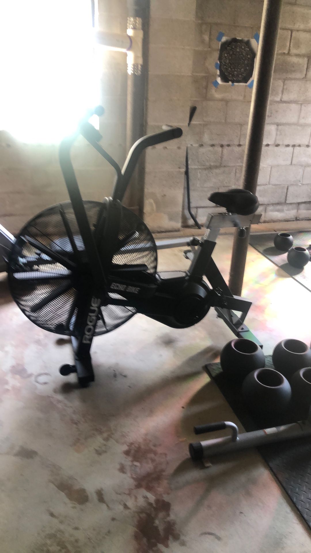Rouge Echo Bike