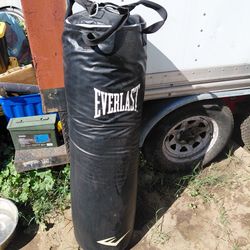 Everlast Punching Bag