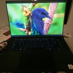 xps 9500 i7 laptop