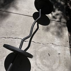 Standard Ezcurl Bar W 50lbs Weight 