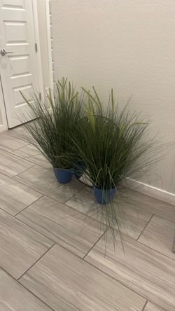 Fake plants