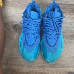 Adidas Shoe