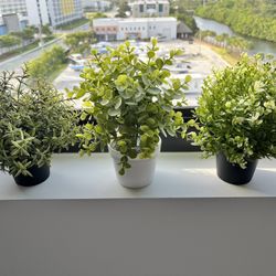 Set Artificial Plants 🪴 