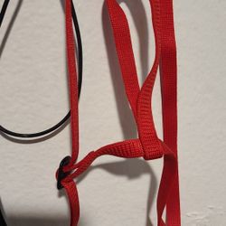 Bird Harness - Adjustable - Small -Parrot