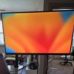 Home Office Montior And Mount Combo