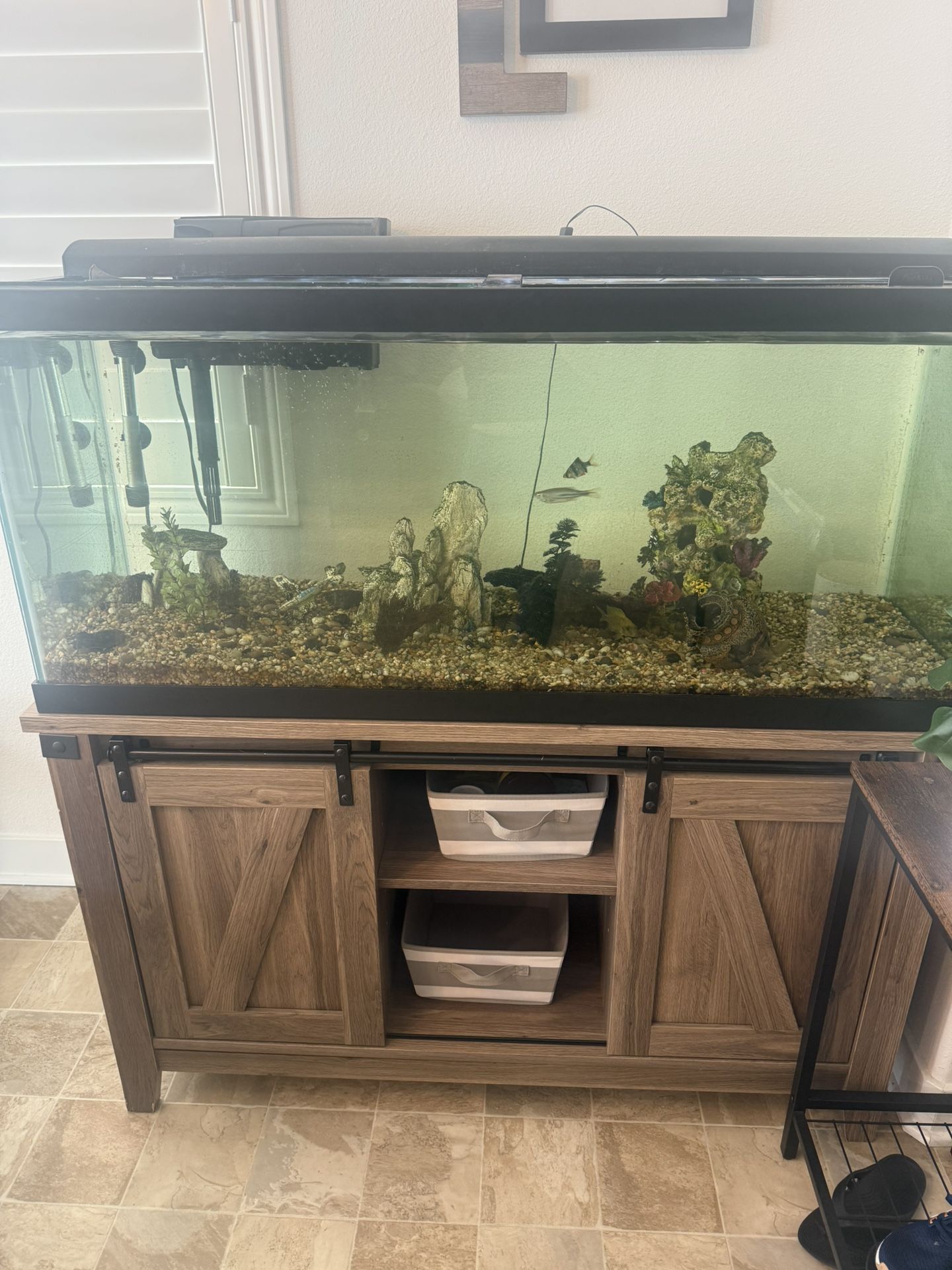 75 Gallon Fish Tank