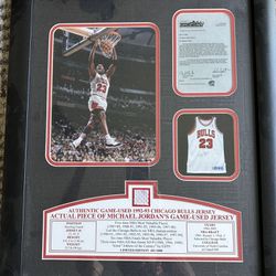 Michael Jordan Limited Edition Framed Memorabilia 481/1000
