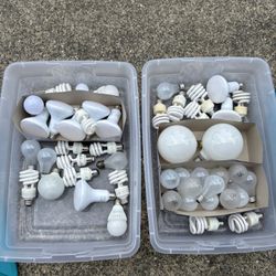 Assorted Light Bulbs 