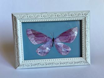 Butterfly Framed Art Work Print w/ gold colored lining / 7 X 5