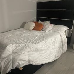 Queen Bed Black Velvet 