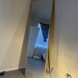 Standing Floor Mirror