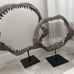 Replica Shark Teeth Decor