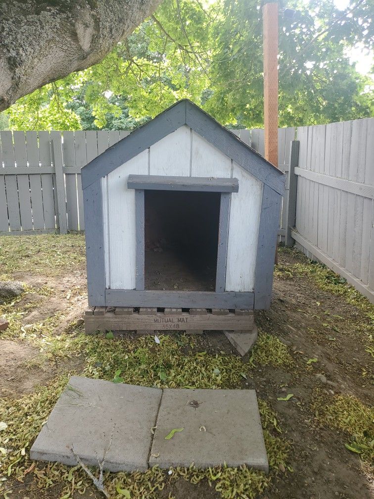 Dog House