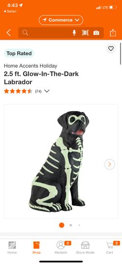 Glow In The Dark Labrador