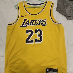 Lebron James Lakers Jersey XL