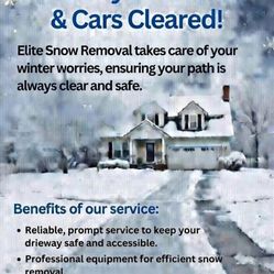 Snow Blower and Shovel