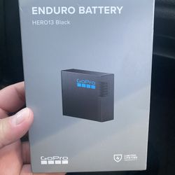 Enduro Battery 