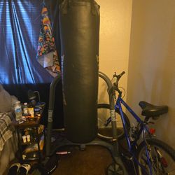 Punching Bag Plus Stand