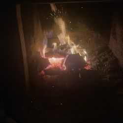 Dry Firewood