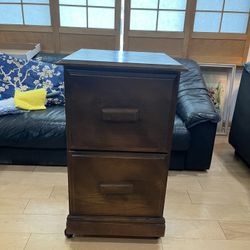 Vintage 2 Drawer Lateral Filing Cabinet Or Multi Use Cabinet
