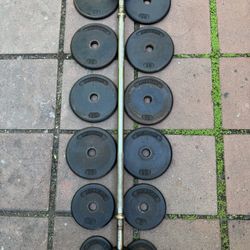 Standard Weight 1 Inch Set 95 + Bar Vintage 