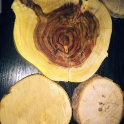 Tree slices for centerpieces / areglos