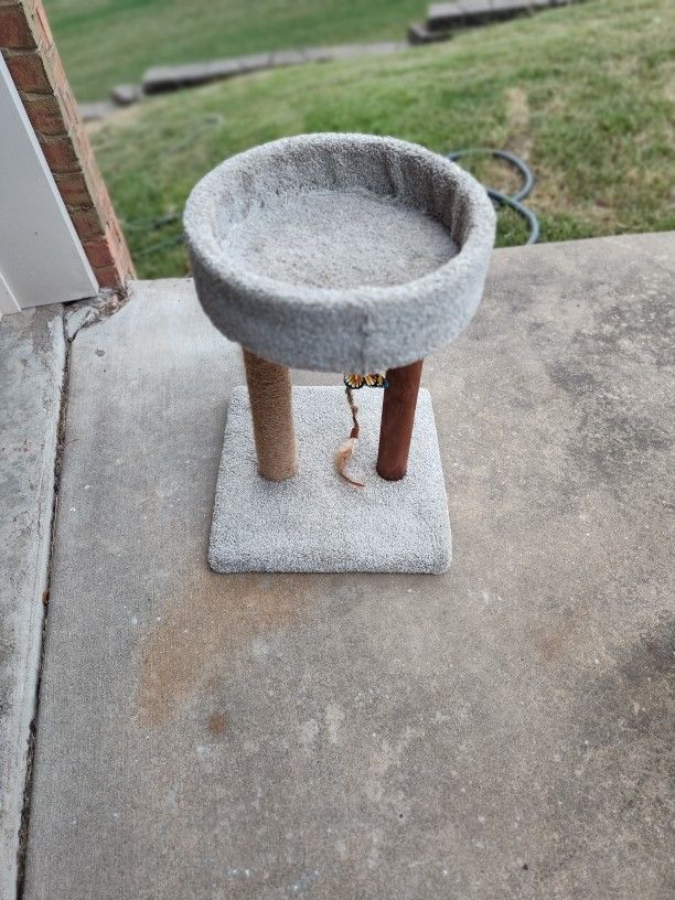 Cat Tree