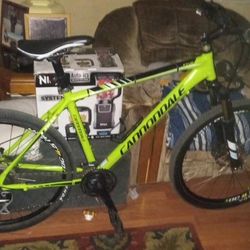 Mountain Bike