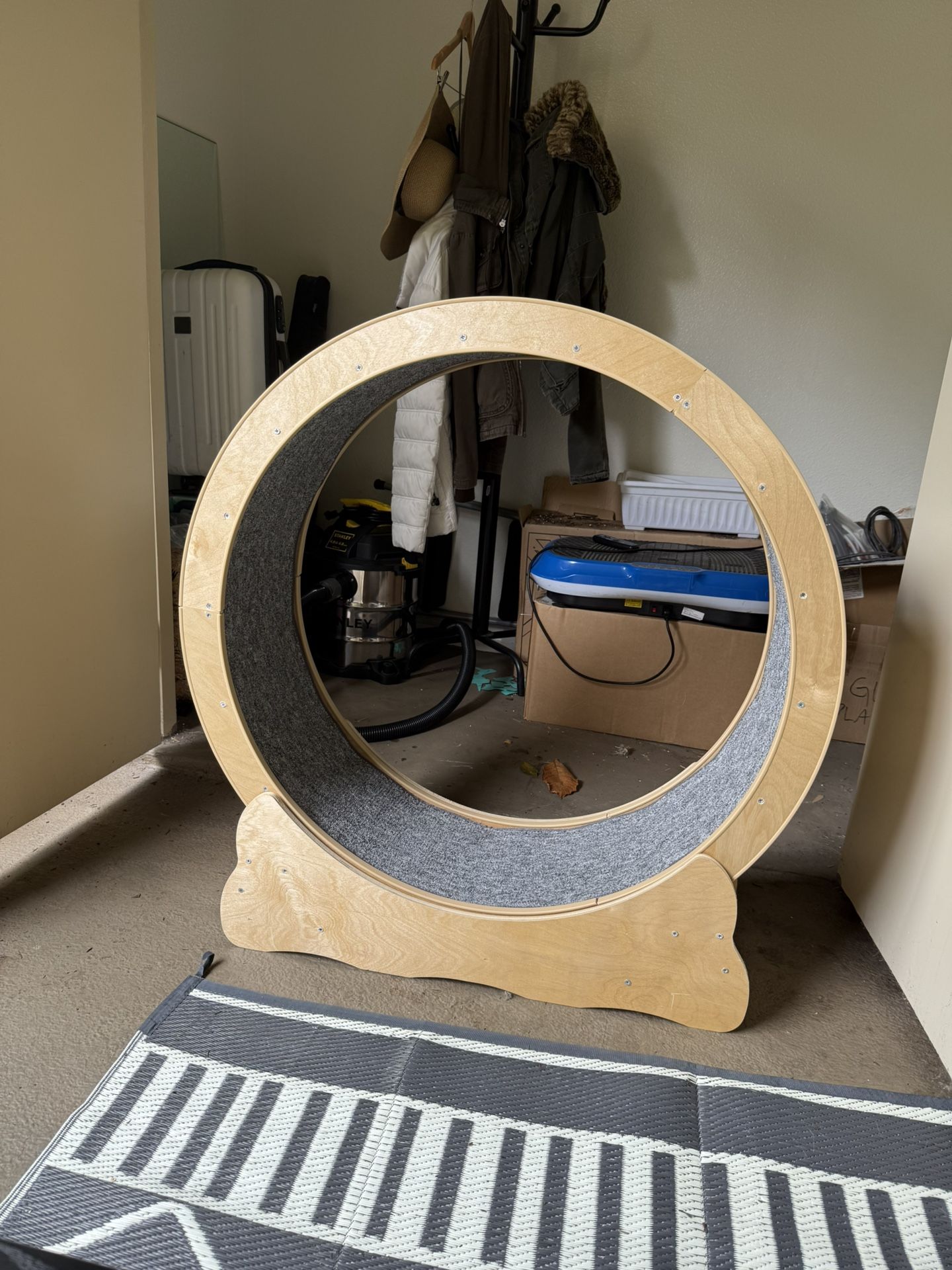 Cat Wheel