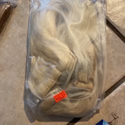Platinum Blond Extensions 