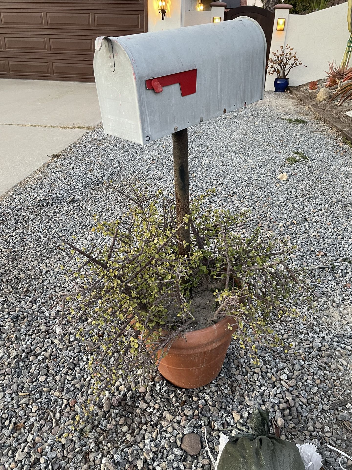Free Potted Mailbox